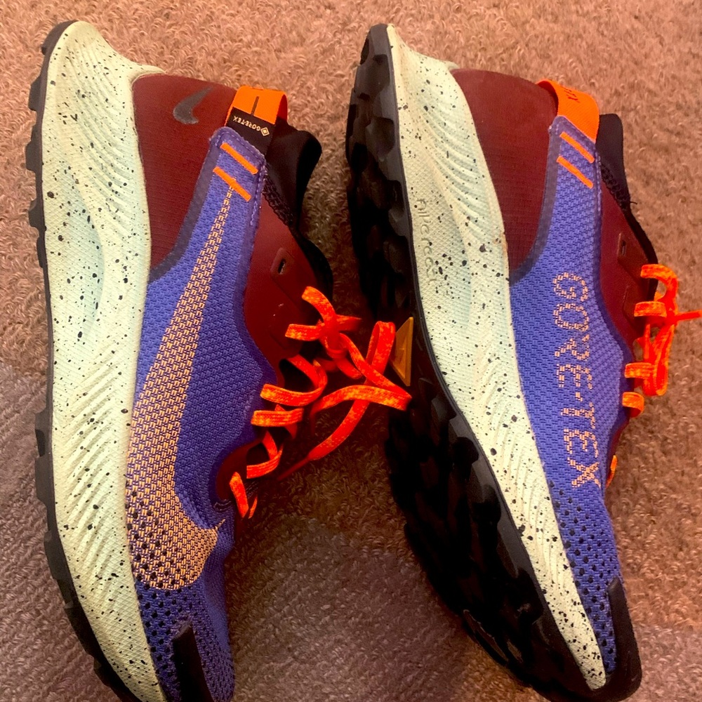 Nike Pegasus Trail 2 Gore-Tex Orange Hiking Running Shoes
